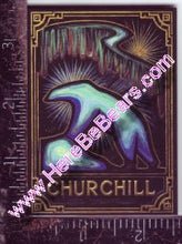 Load image into Gallery viewer, Fridge Magnet (Polar Bear under Northern Lights)
