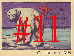 #11 Bear In Mind postcard