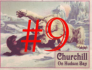 #09 On Hudson Bay postcard